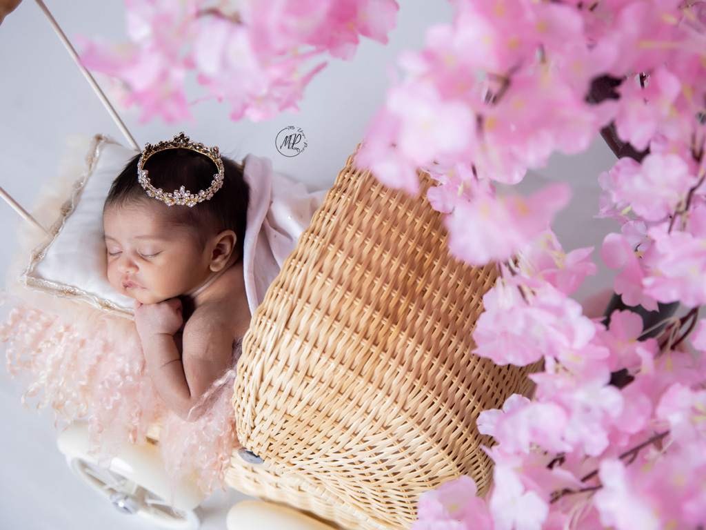 newborn photography